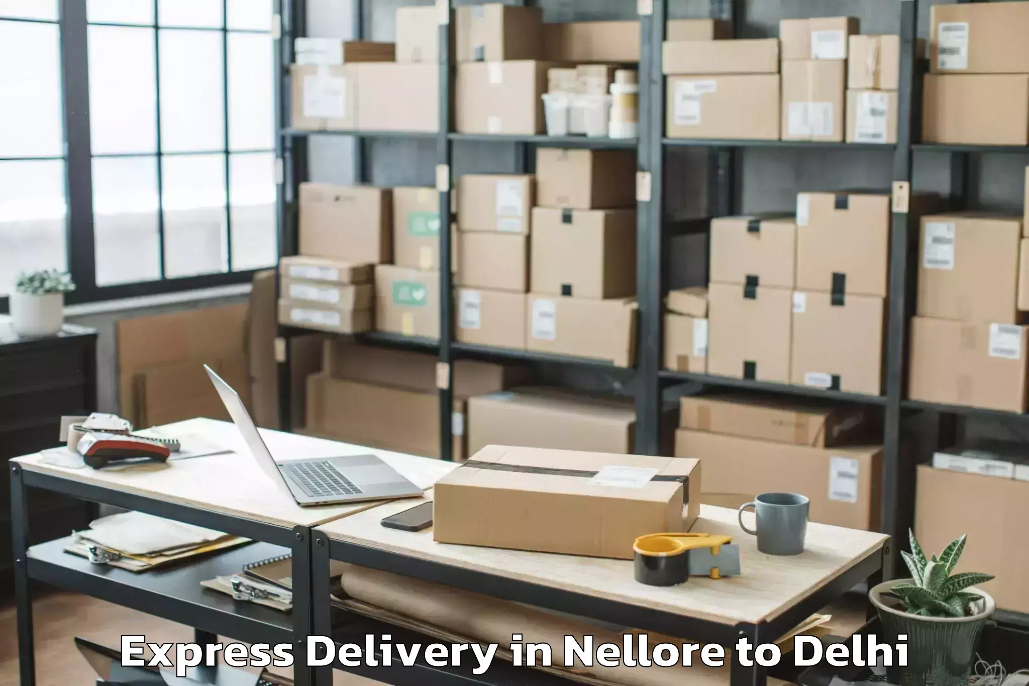 Quality Nellore to Indraprastha Institute Of Info Express Delivery